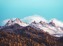 刚刚！特朗普，重大宣布