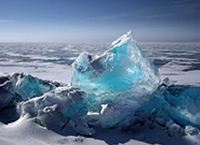 刚刚！特朗普，重大宣布